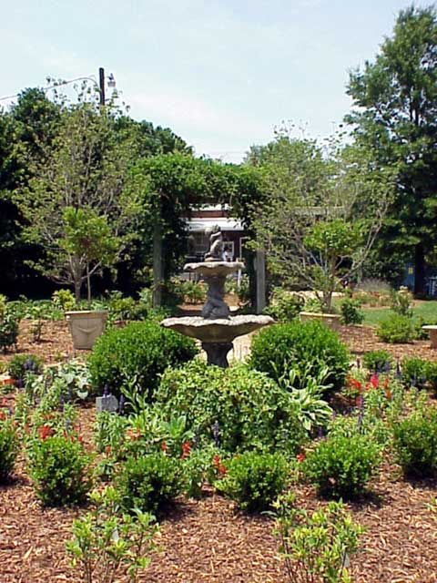 Mcgill Rose Garden Visit With Hazel Holtom