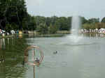 Freedom Pond Fountains