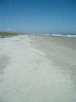 on the Huntington Beach State Park seashore looking north