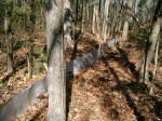 a collecting fence