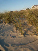 The beach path ends where turf meets surf at high tide.