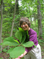 Thu Oanh photographs Ruth with big leaf magnolia.