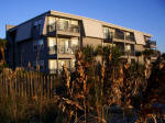 A Place At The Beach sea oats at sunrise.