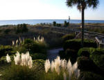 Sunrise view from Trina's stairs to the Atlantic Ocean.