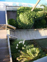 Early morning look down from the top of Trina's stairs.