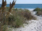 Path from A Place At The Beach to the ocean's edge.