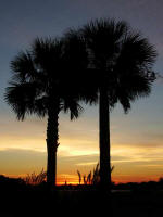 Looking from the Seawatch Inn across Murrells Inlet.