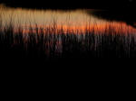 Sunset glow reflected in the incoming tide.