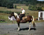 Dad  On A Horse.jpg (30614 bytes)