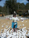 Ruth Feeding White Pigeons in Seville