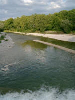 Isar River Bank