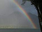 Rainbow over the shoreline of Lake Quinault frames the site of the Worlds Largest Spruce:  circumference of 58', 11", diameter of 18', 9", height of 191', about 1000 years old.