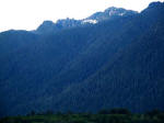 The Olympics, rising from the sea 10-20 million years ago, were designated a national monument in 1909. Our snug rented holiday house lay in a U-shaped valley chiseled by ice-age glacier action that nurtured a wealth of biodiversity.