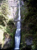 Benson Bridge, built in 1914, crosses Multnomah Creek between the Upper and Lower Multnomah Falls.