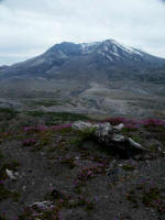 Each of the 5 world-class visitor centers in Cowlitz County, gateway to Mount St. Helens, provides unique perspective & insight into the mountain, with history & lessons learned.