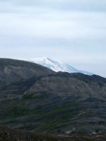 A massive landslide (debris avalanche), burying 14 miles of river valley to an average depth of 150', released trapped magma and gas, producing a sideways explosion (lateral blast) that killed trees 17 miles north of the volcano.