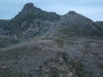 Some trees, killed instantly by hot gases, remain standing; others point the direction they were toppled by the blast.