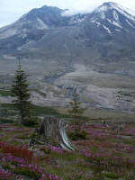 May 2007 (no explosive eruptions in a year): lava extrudes from the crater floor at a rate of a small pickup truck load every two secondsdown from one dump truck load per second in October 2004and is building a new lava dome.