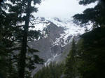 The trail we took in the rain loops through high meadows and leads to an overlook of Nisqually Glacier, one of the 26 advancing & receding glaciers on the slopes of Mt. Rainier.