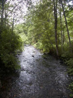 A lovely rushing stream borders the back of the property. Formerly populous Native American tribes resided around Mt. Rainier [the Yakama, Puyallup, Nisqually, Muckleshoot, (Lower) Cowlitz, Taidnapam ("Upper Cowlitz"), & Klickitat]. As Whites came it was unlikely they would move eastward in the face of the invasion, & impossible to move westward.