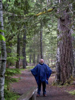 Joe in Al's poncho pondering the Pacific Northwest intense green, the result of moisture-laden weather systems at Longmire, June 29. (Paradise receives about 126 inches.)