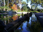 A reflection of the Garden's plants and flowers from all over the world, with something for everyone to enjoy.