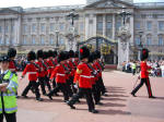 Identify regiments: plume, buttons, tunic, head wear.