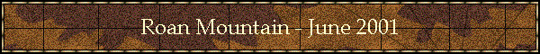Roan Mountain - June 2001