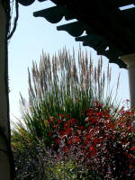 View from the colonnade.