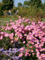A beautiful day to roll past garden blooms and fountains.