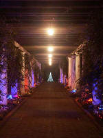Illuminated colonnade with Christmas tree of white lights.