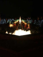 Holiday lights transform an evening Canal Garden visit.